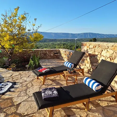 Holiday House 