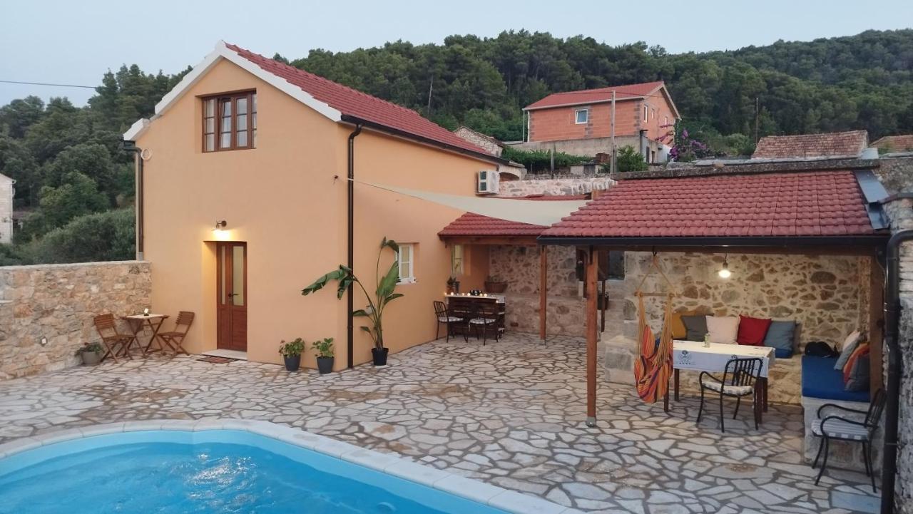 Villa House 