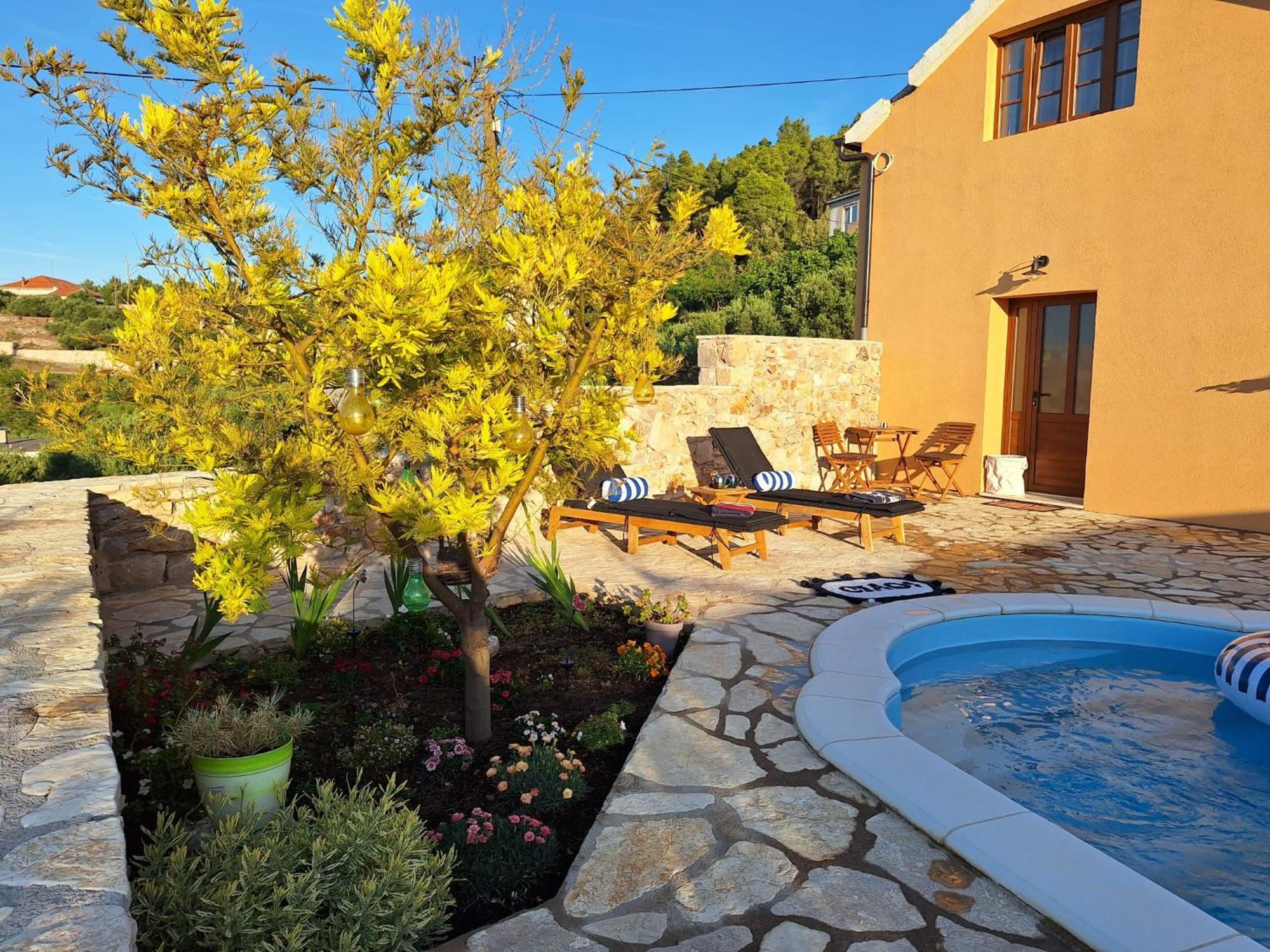 Villa House 